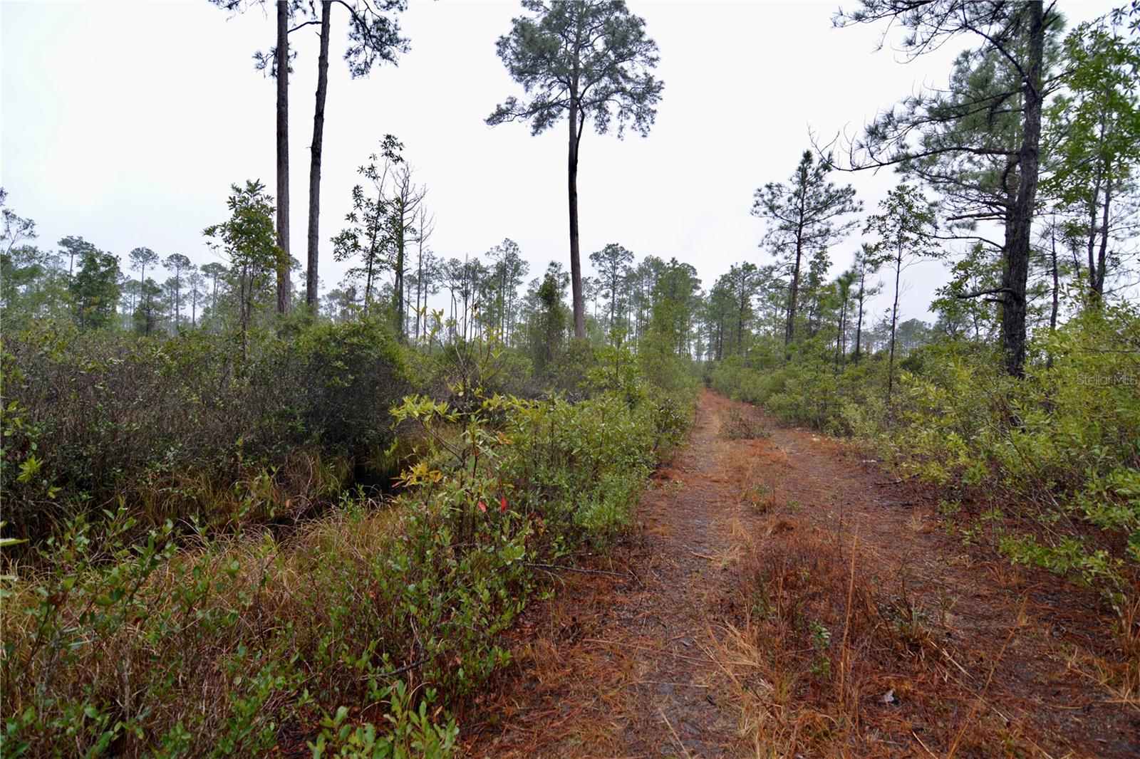 SR-2, SANDERSON, FL, 32087