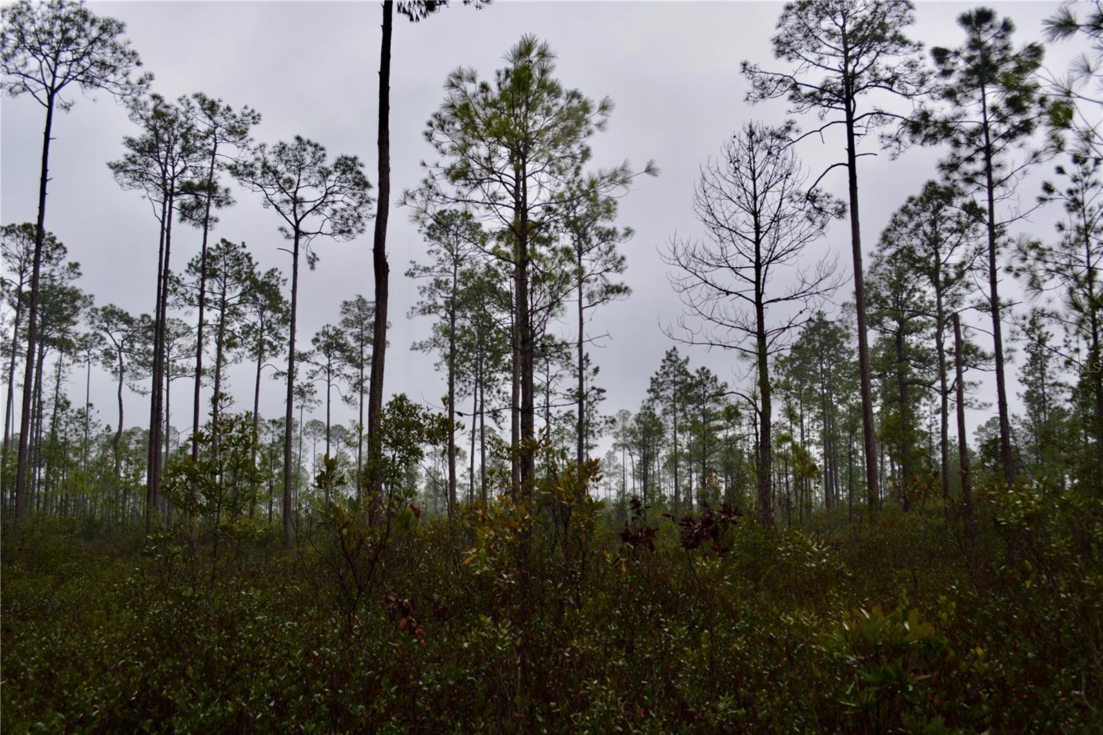 SR-2, SANDERSON, FL, 32087
