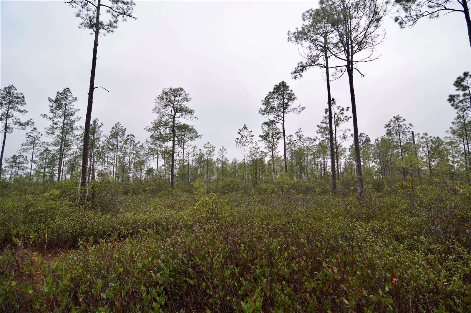 SR-2, SANDERSON, FL, 32087