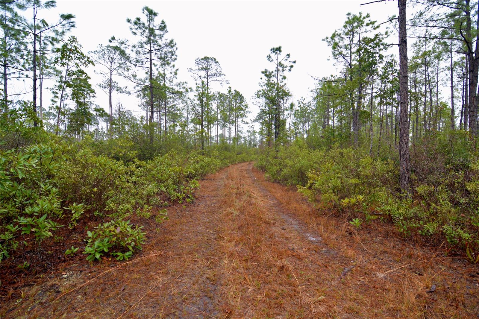 SR-2, SANDERSON, FL, 32087