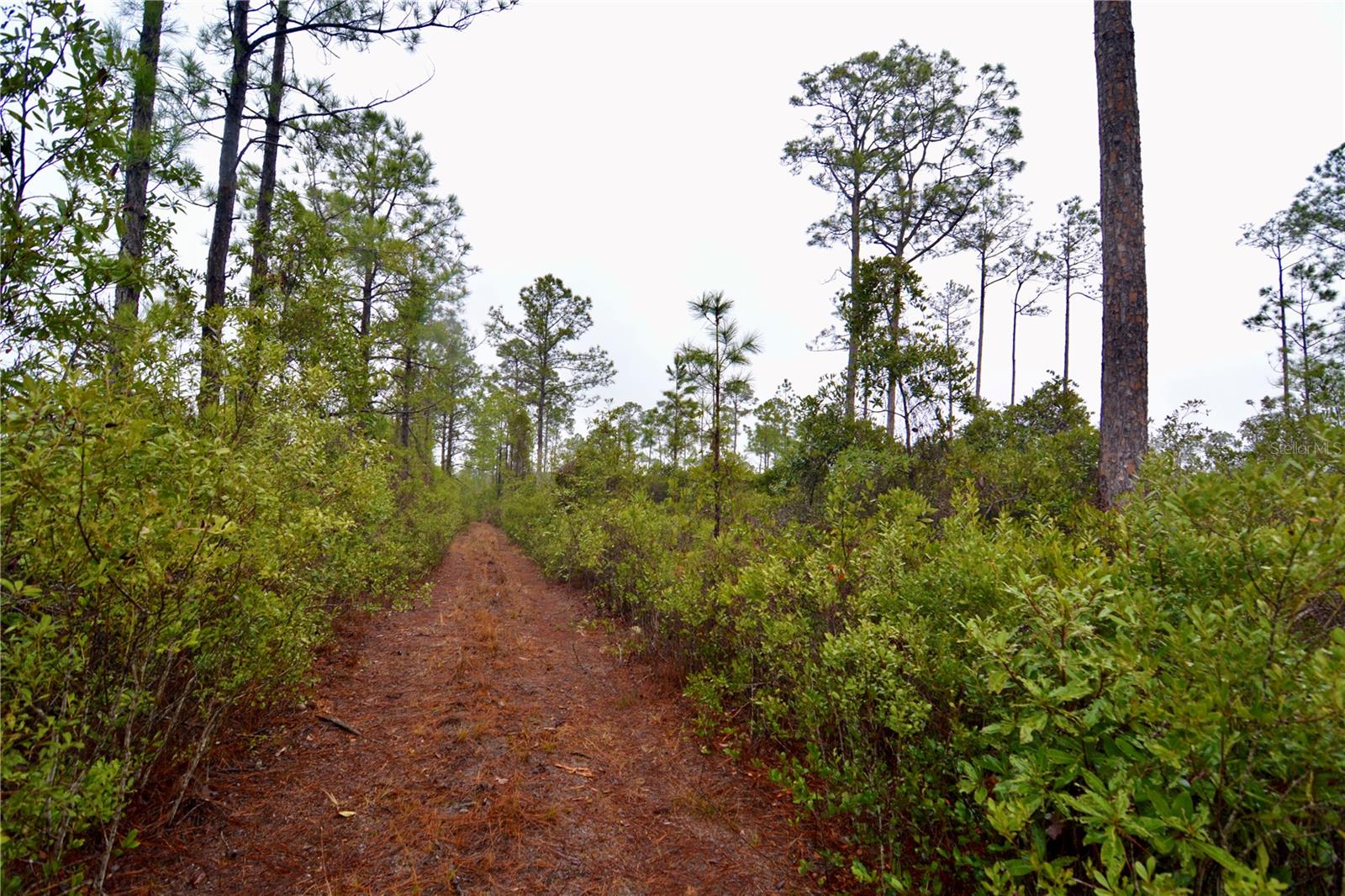 SR-2, SANDERSON, FL, 32087