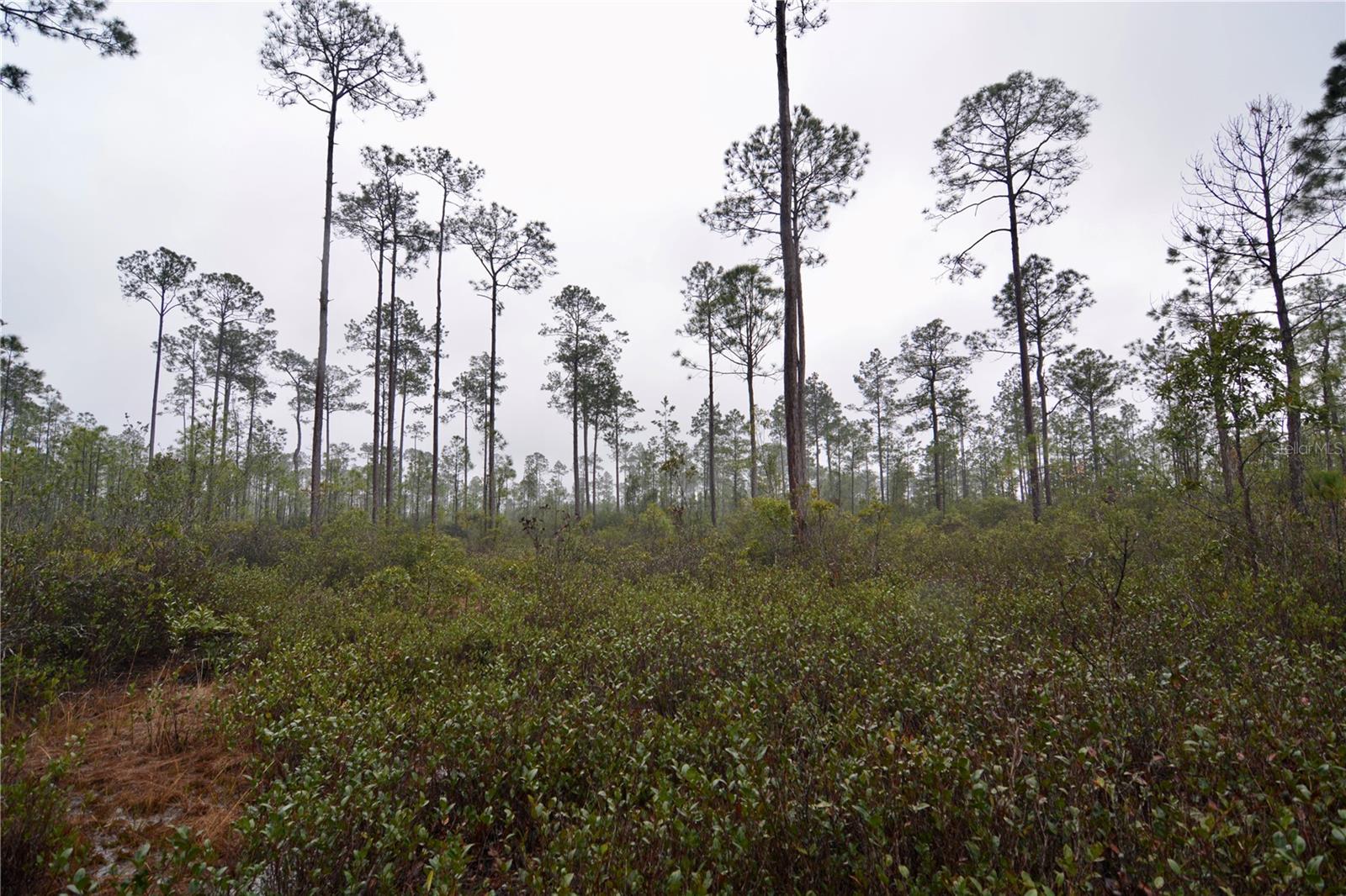 SR-2, SANDERSON, FL, 32087