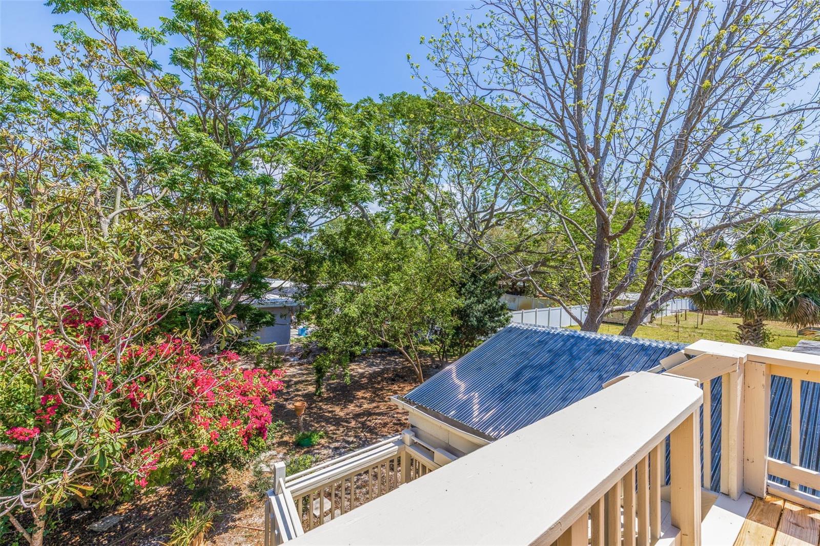 834 RIVERSIDE DR, TARPON SPRINGS, FL, 34689