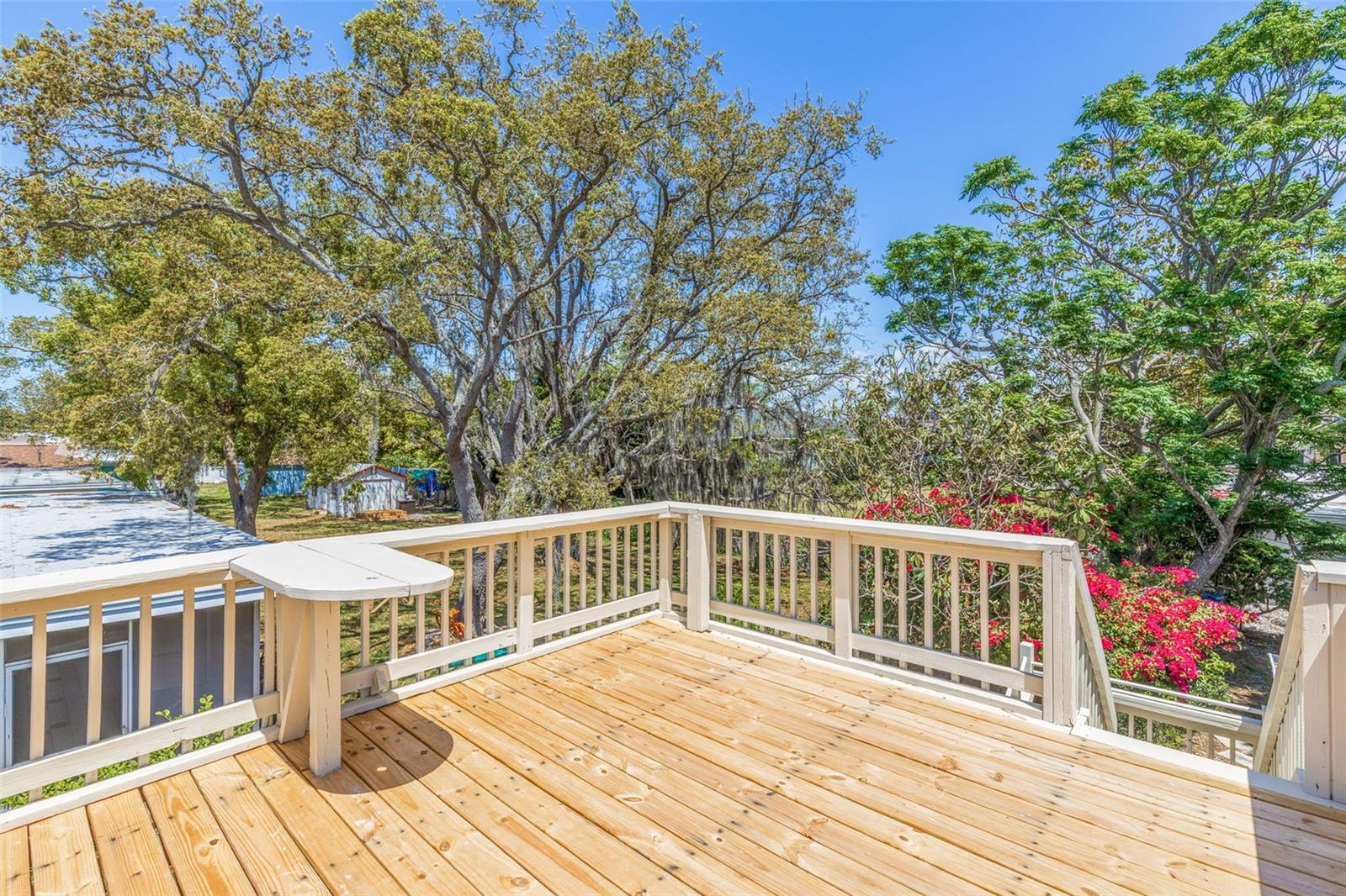834 RIVERSIDE DR, TARPON SPRINGS, FL, 34689
