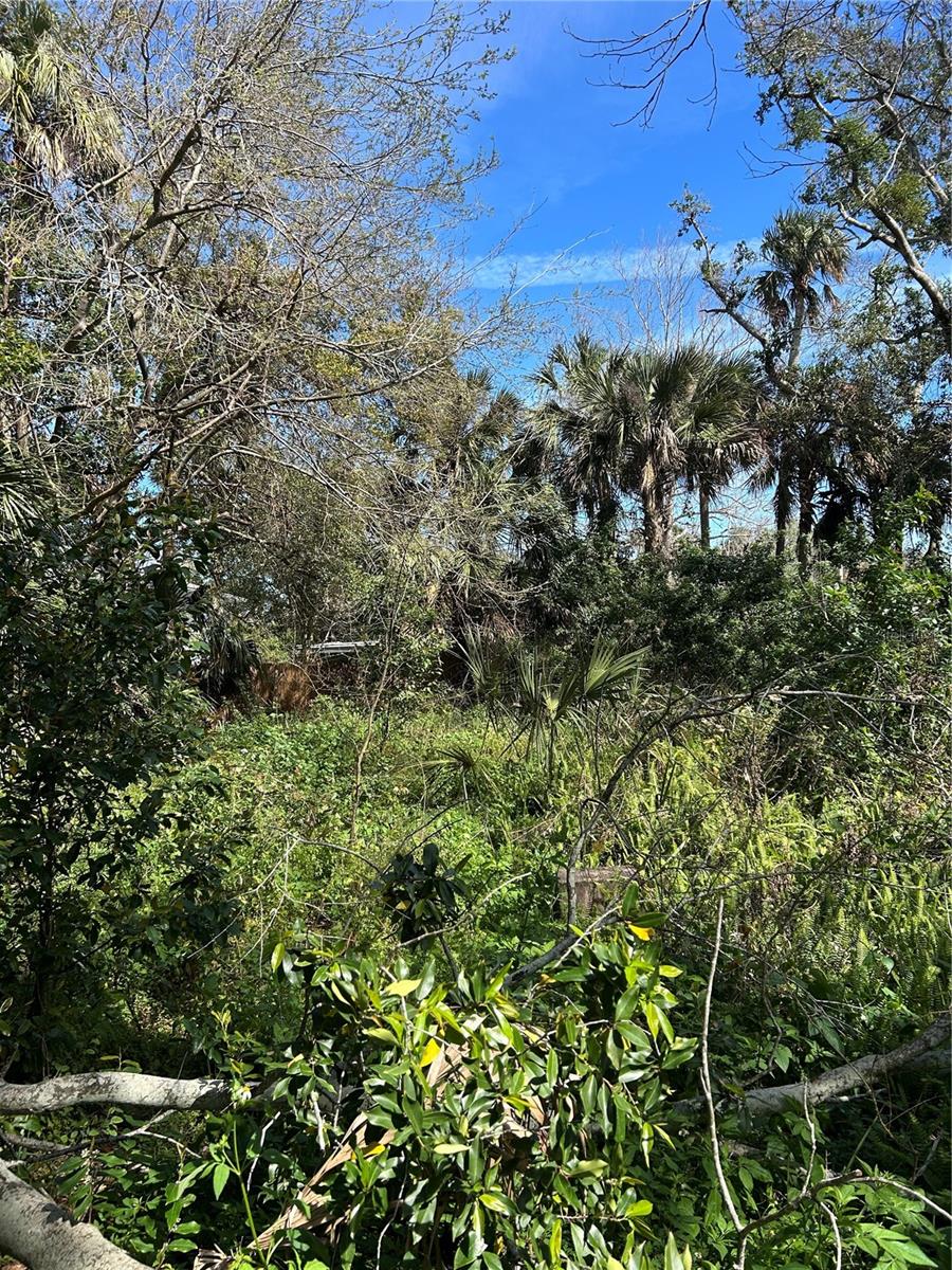 1127 MARTHA DR, DAYTONA BEACH, FL, 32114