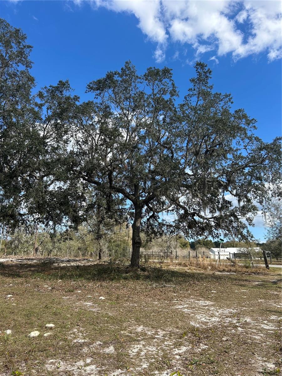 845 BLACKWELDER RD, DE LEON SPRINGS, FL, 32130