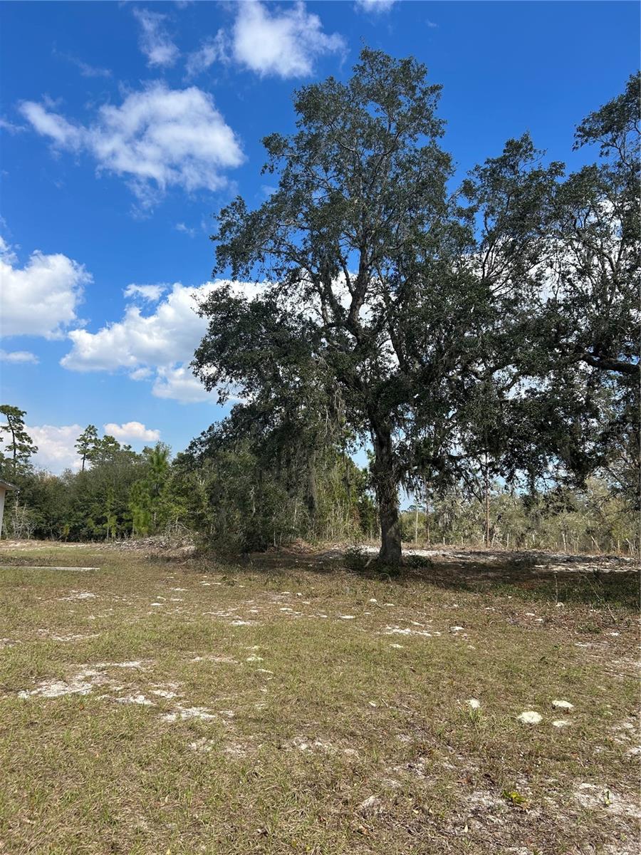 845 BLACKWELDER RD, DE LEON SPRINGS, FL, 32130