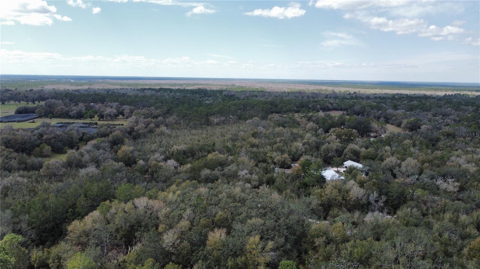 845 BLACKWELDER RD, DE LEON SPRINGS, FL, 32130