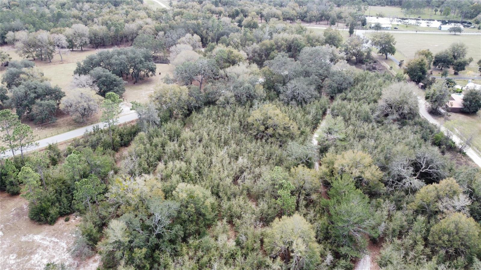 845 BLACKWELDER RD, DE LEON SPRINGS, FL, 32130