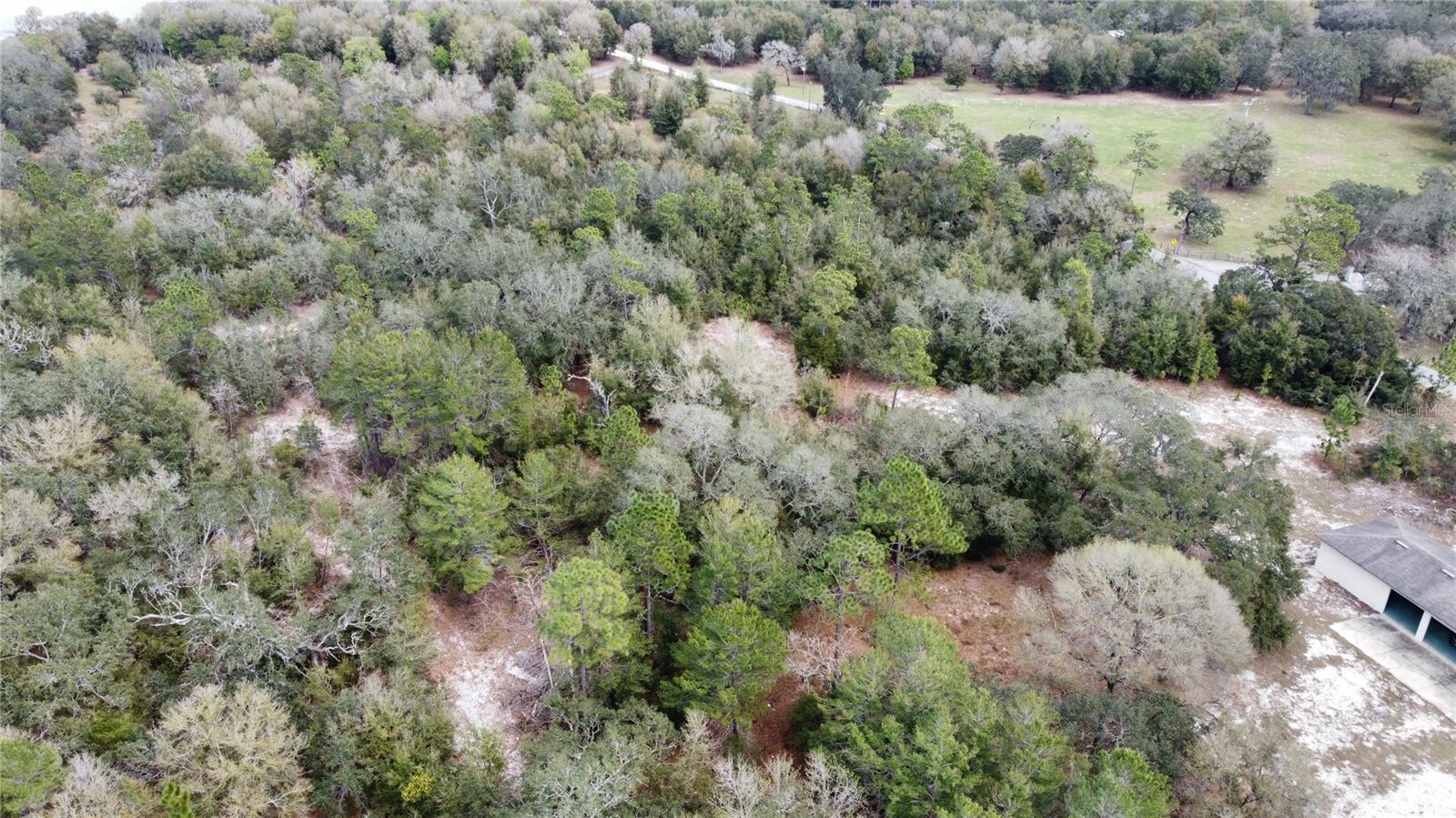 845 BLACKWELDER RD, DE LEON SPRINGS, FL, 32130