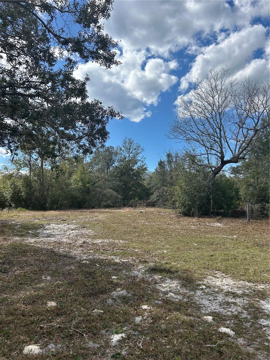 845 BLACKWELDER RD, DE LEON SPRINGS, FL, 32130