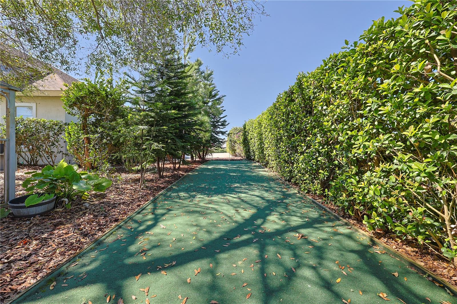 39100 TACOMA DR, LADY LAKE, FL, 32159