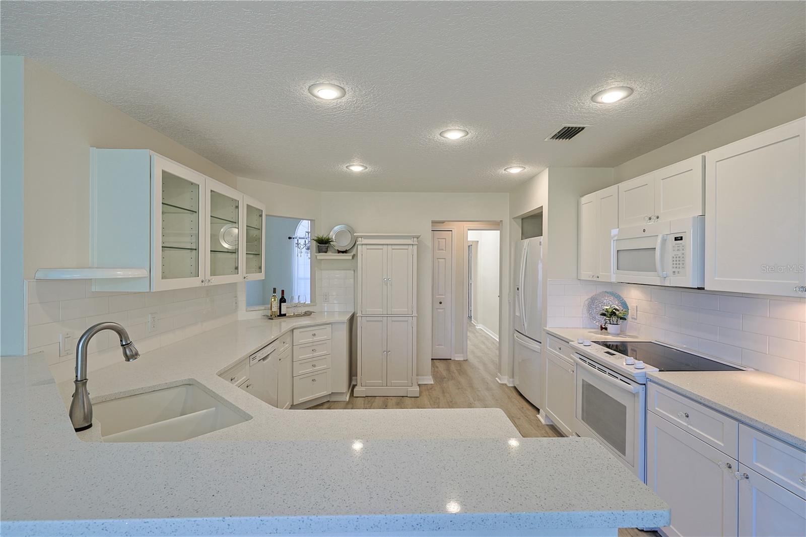 39100 TACOMA DR, LADY LAKE, FL, 32159