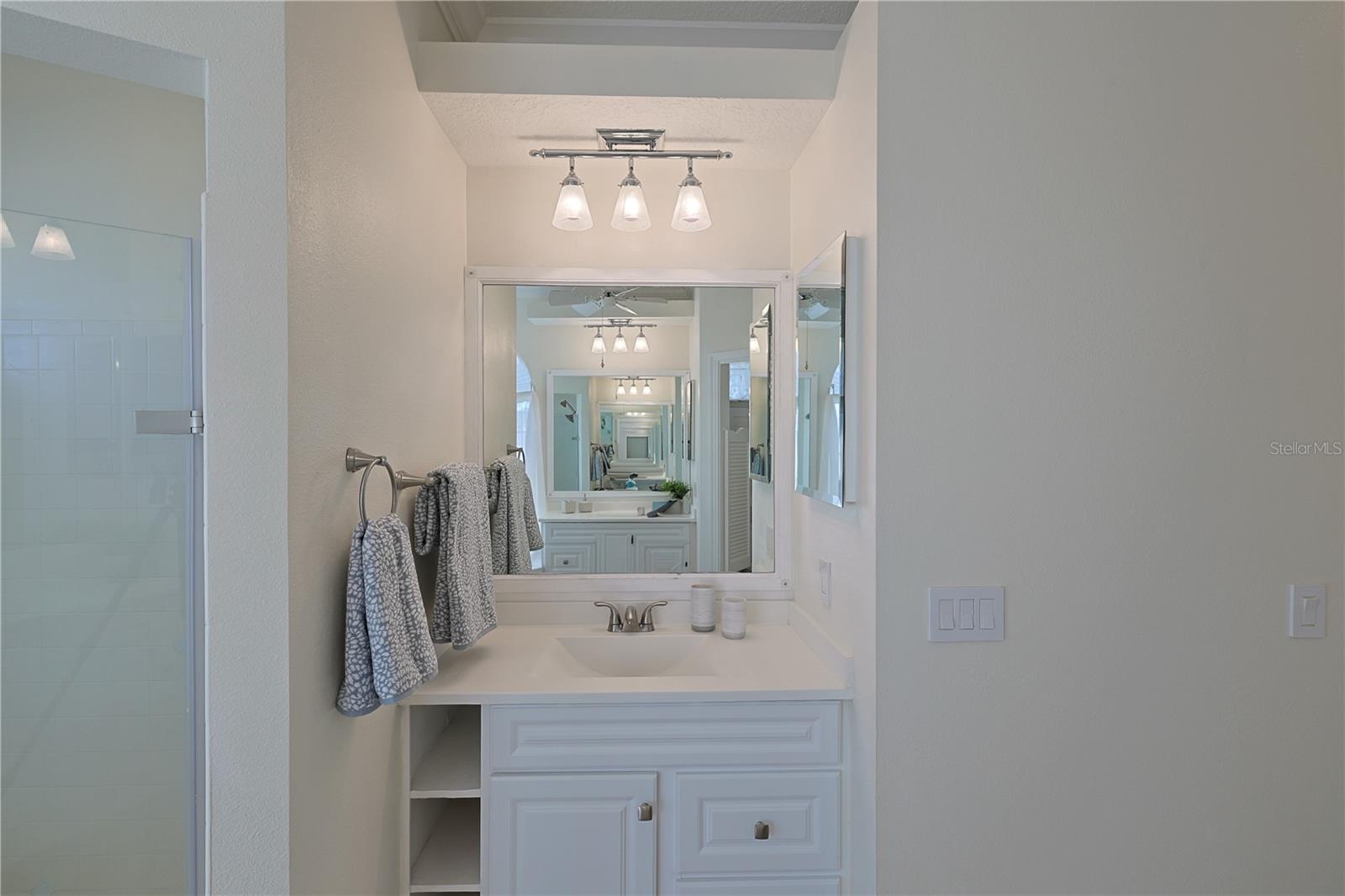 39100 TACOMA DR, LADY LAKE, FL, 32159