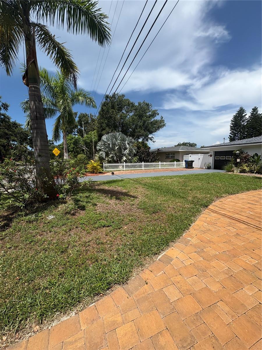 New Fences installed