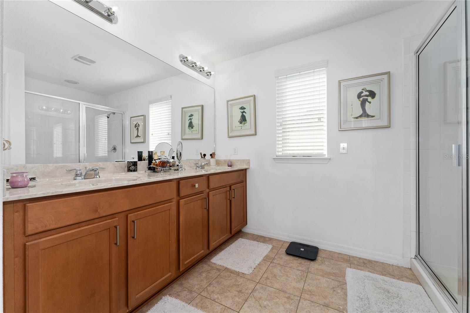 6054 ROSEATE SPOONBILL DR, WINDERMERE, FL, 34786