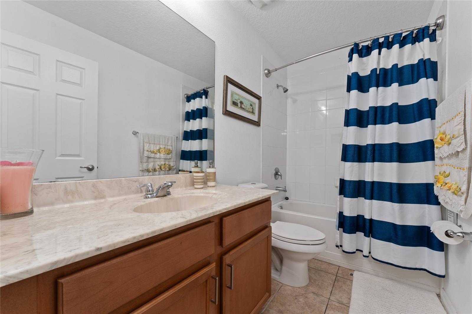 6054 ROSEATE SPOONBILL DR, WINDERMERE, FL, 34786