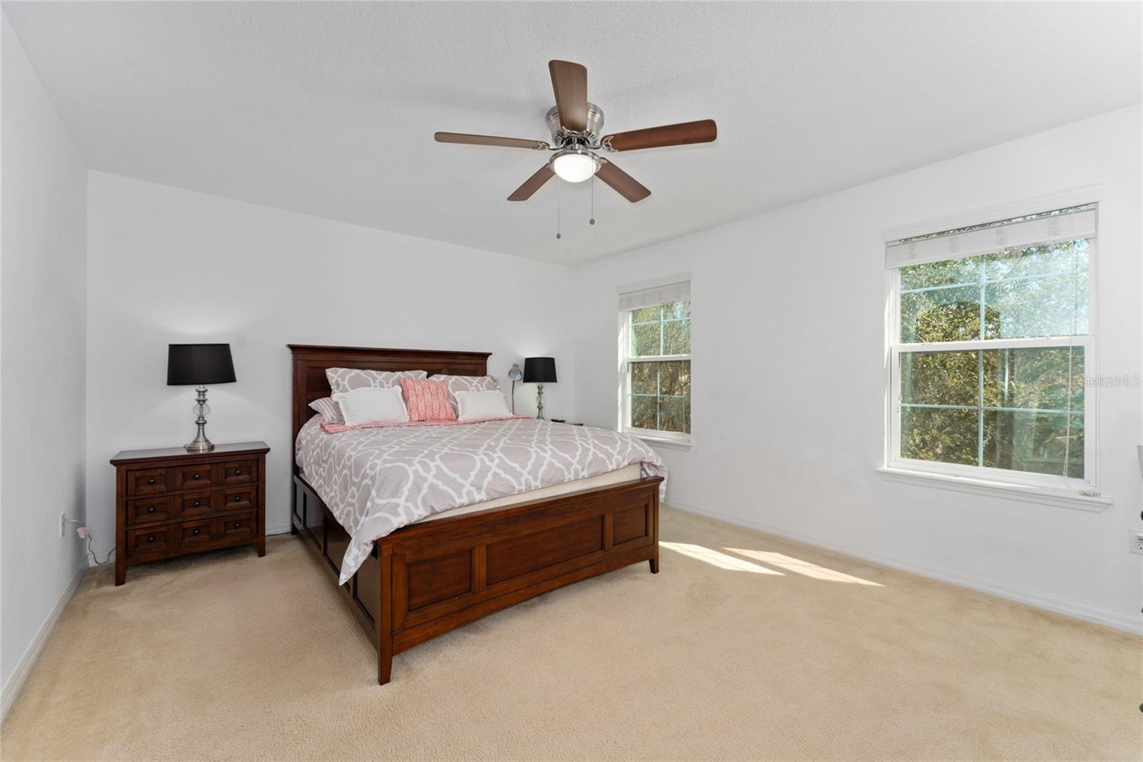 6054 ROSEATE SPOONBILL DR, WINDERMERE, FL, 34786