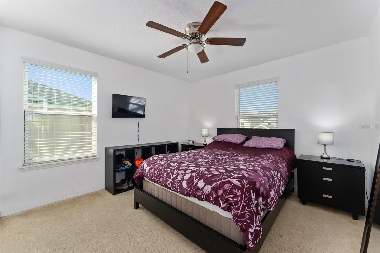 6054 ROSEATE SPOONBILL DR, WINDERMERE, FL, 34786