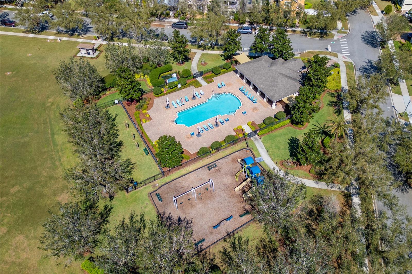 6054 ROSEATE SPOONBILL DR, WINDERMERE, FL, 34786