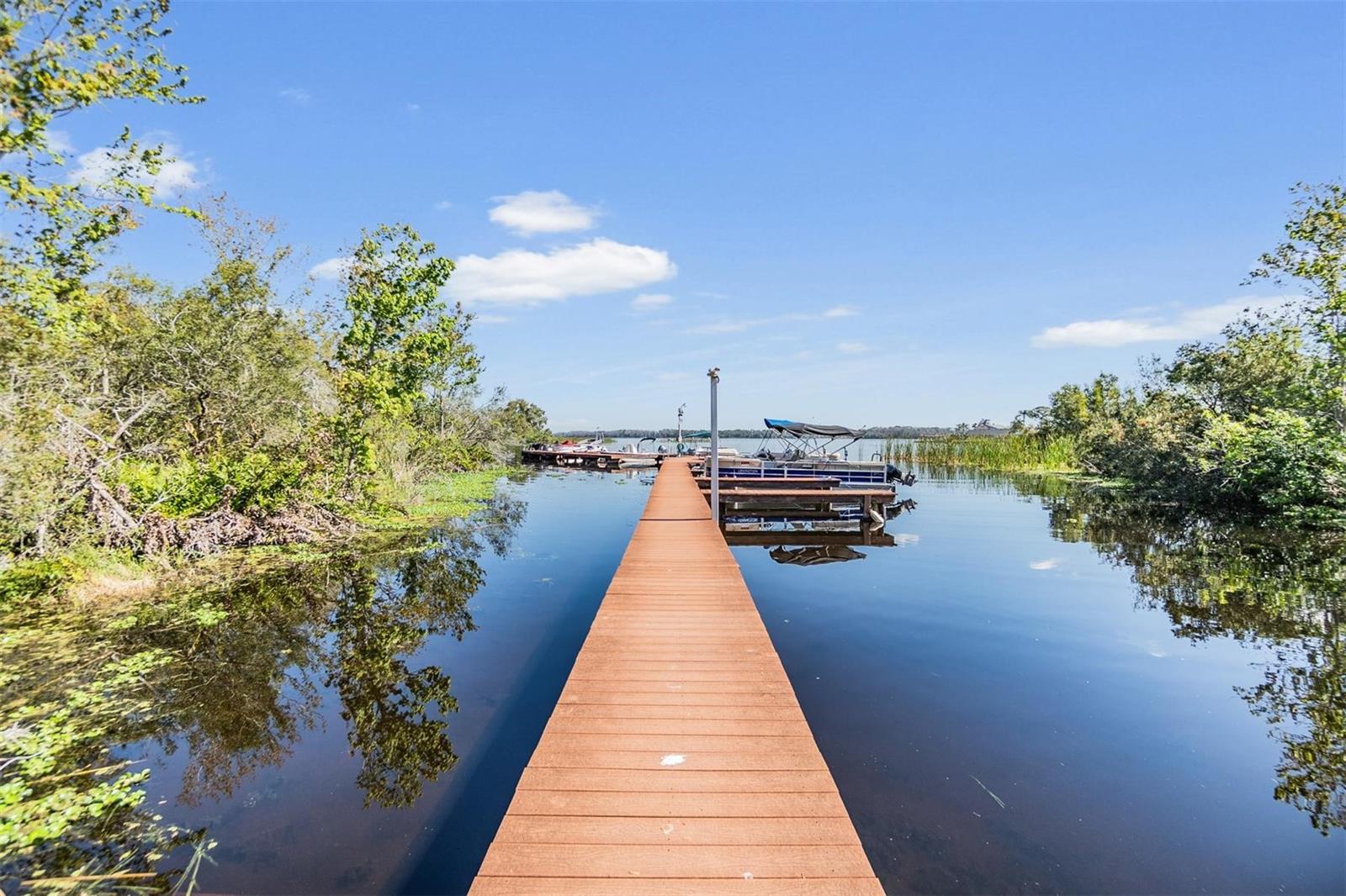 2511 DOLLY BAY DR #304, PALM HARBOR, FL, 34684