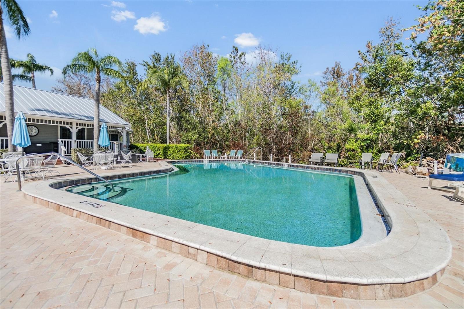 2511 DOLLY BAY DR #304, PALM HARBOR, FL, 34684
