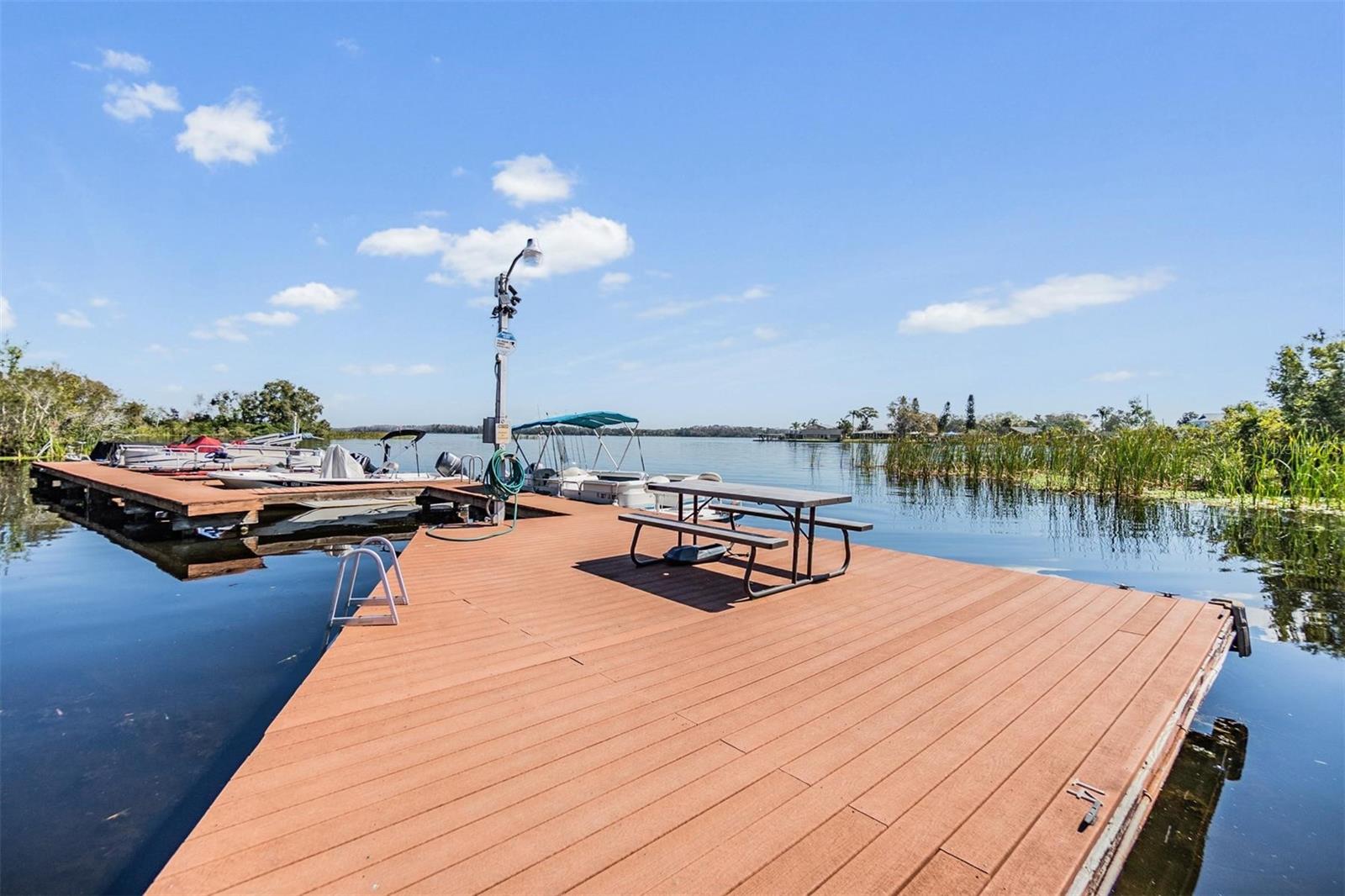 2511 DOLLY BAY DR #304, PALM HARBOR, FL, 34684