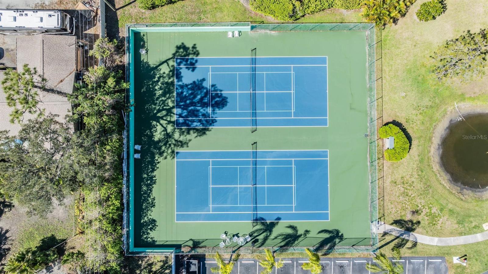 2511 DOLLY BAY DR #304, PALM HARBOR, FL, 34684