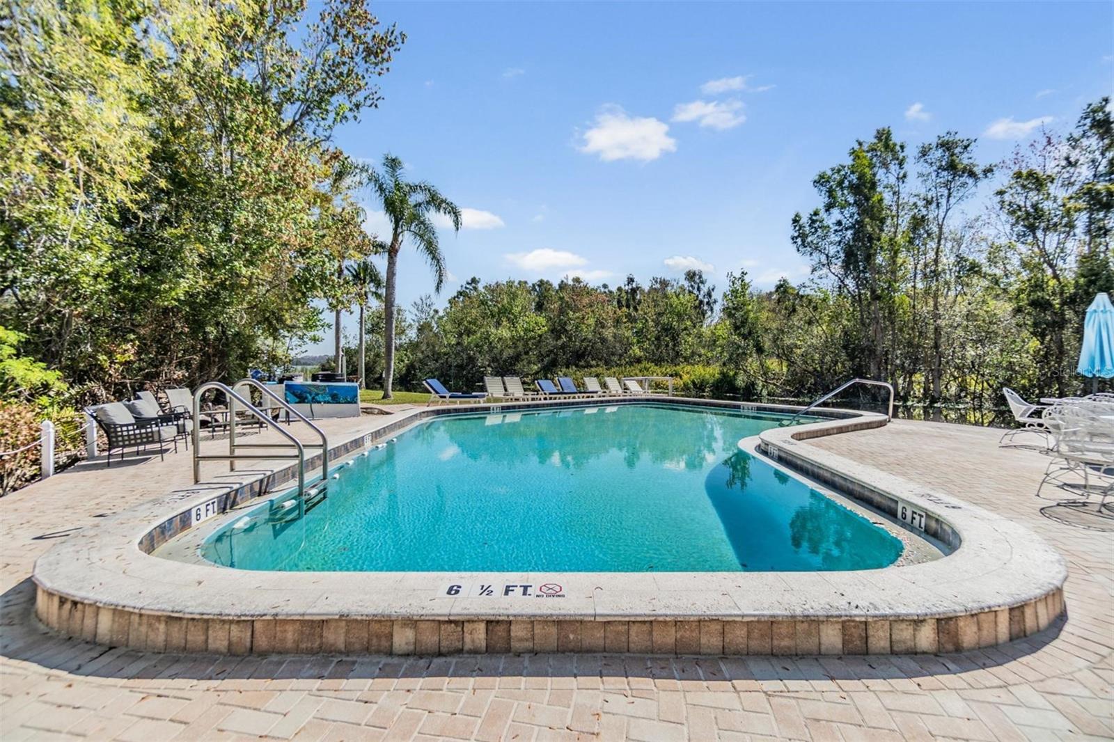 2511 DOLLY BAY DR #304, PALM HARBOR, FL, 34684