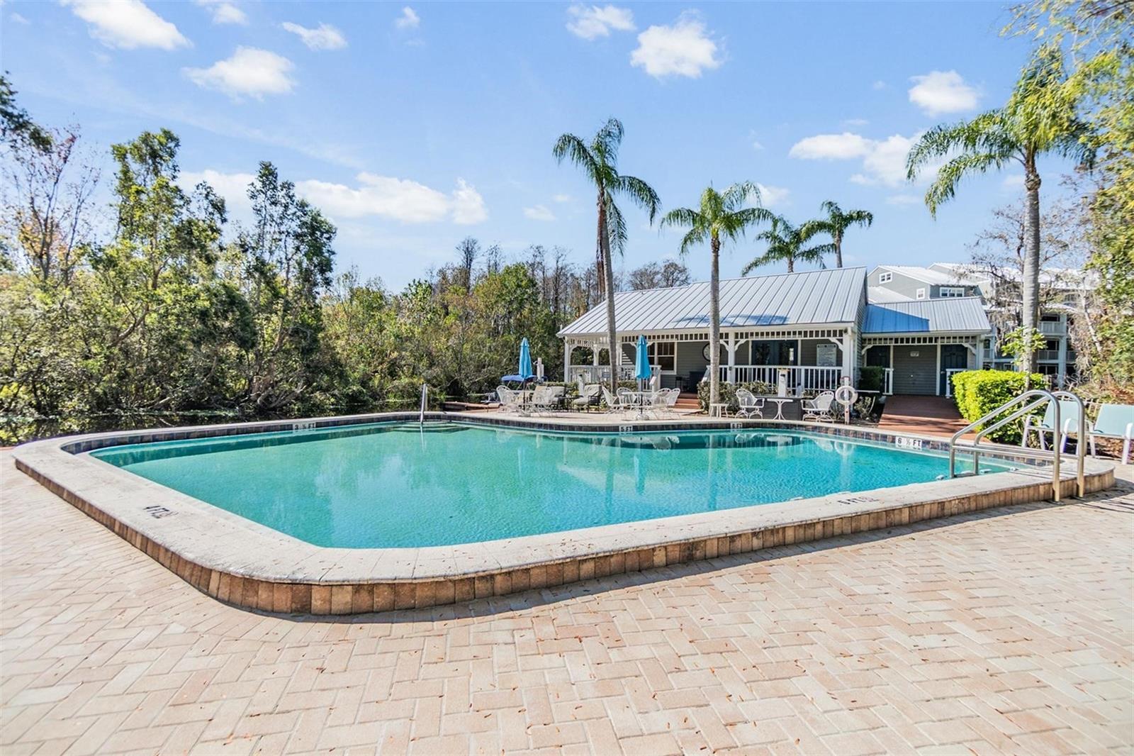 2511 DOLLY BAY DR #304, PALM HARBOR, FL, 34684