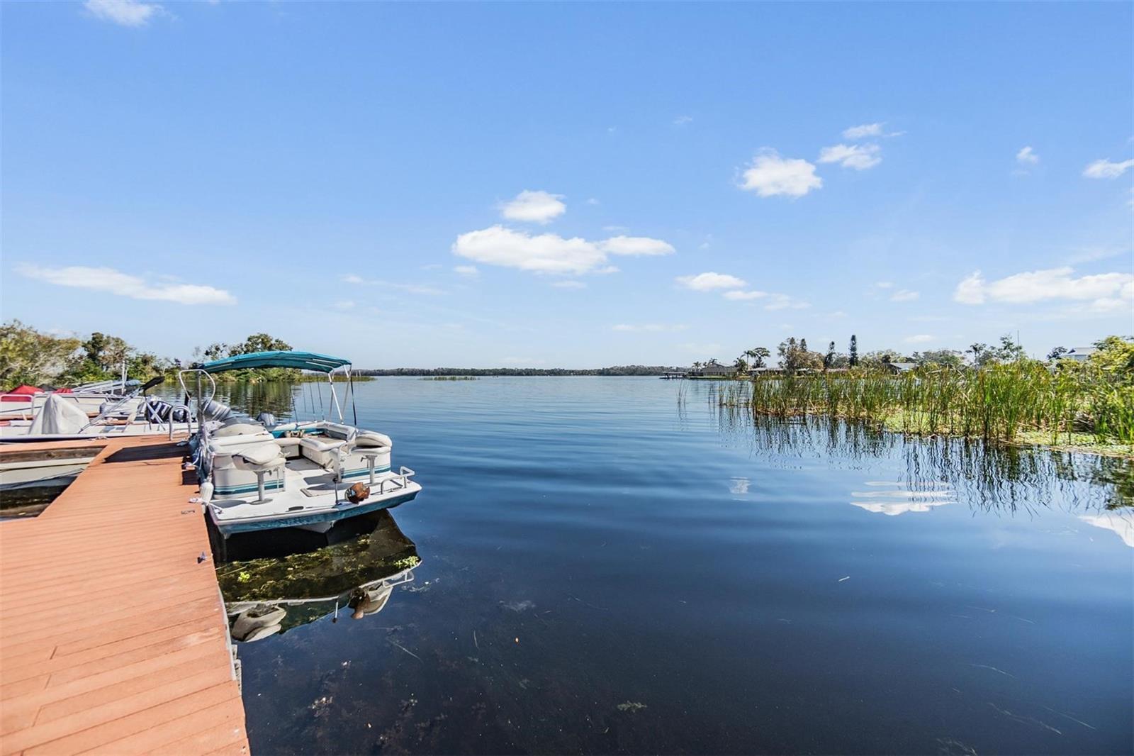 2511 DOLLY BAY DR #304, PALM HARBOR, FL, 34684