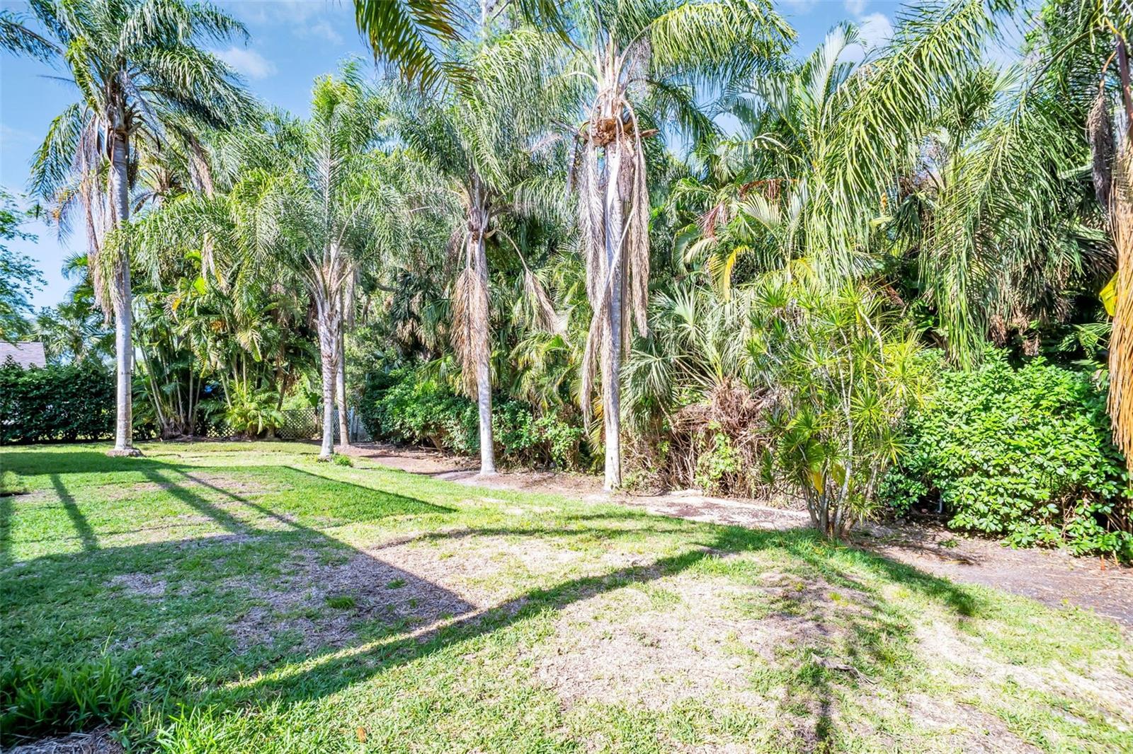 375 HOLLY HILL RD, OLDSMAR, FL, 34677