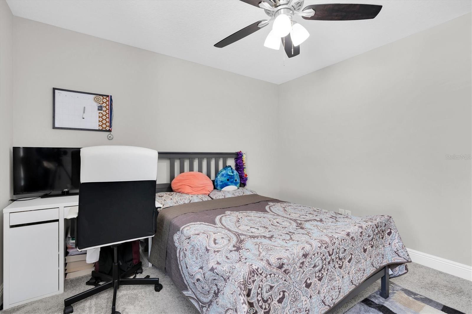 4062 MAURICE AVE, ODESSA, FL, 33556