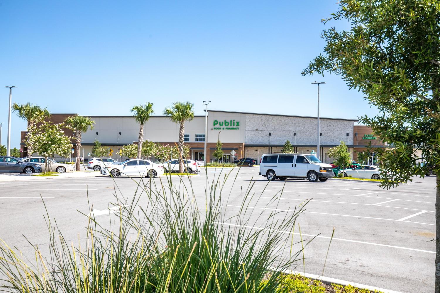 4062 MAURICE AVE, ODESSA, FL, 33556
