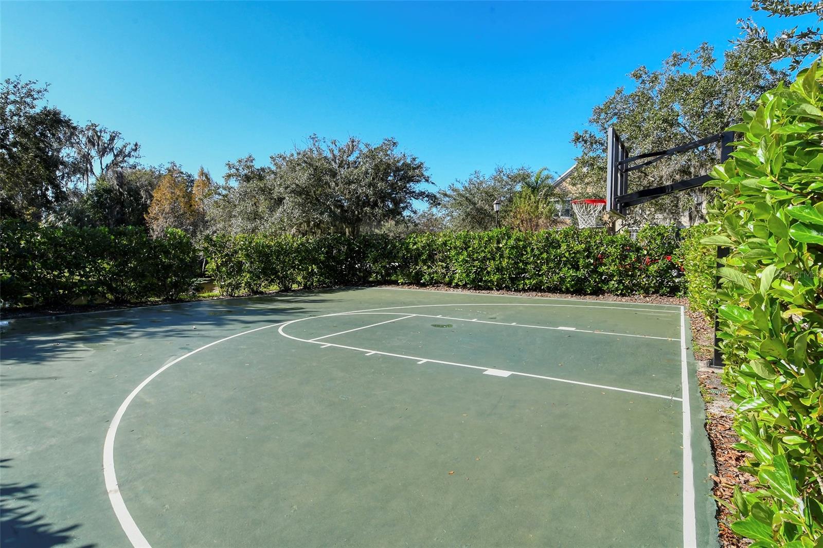 11812 CRAWFORD PARRISH LN, PARRISH, FL, 34219
