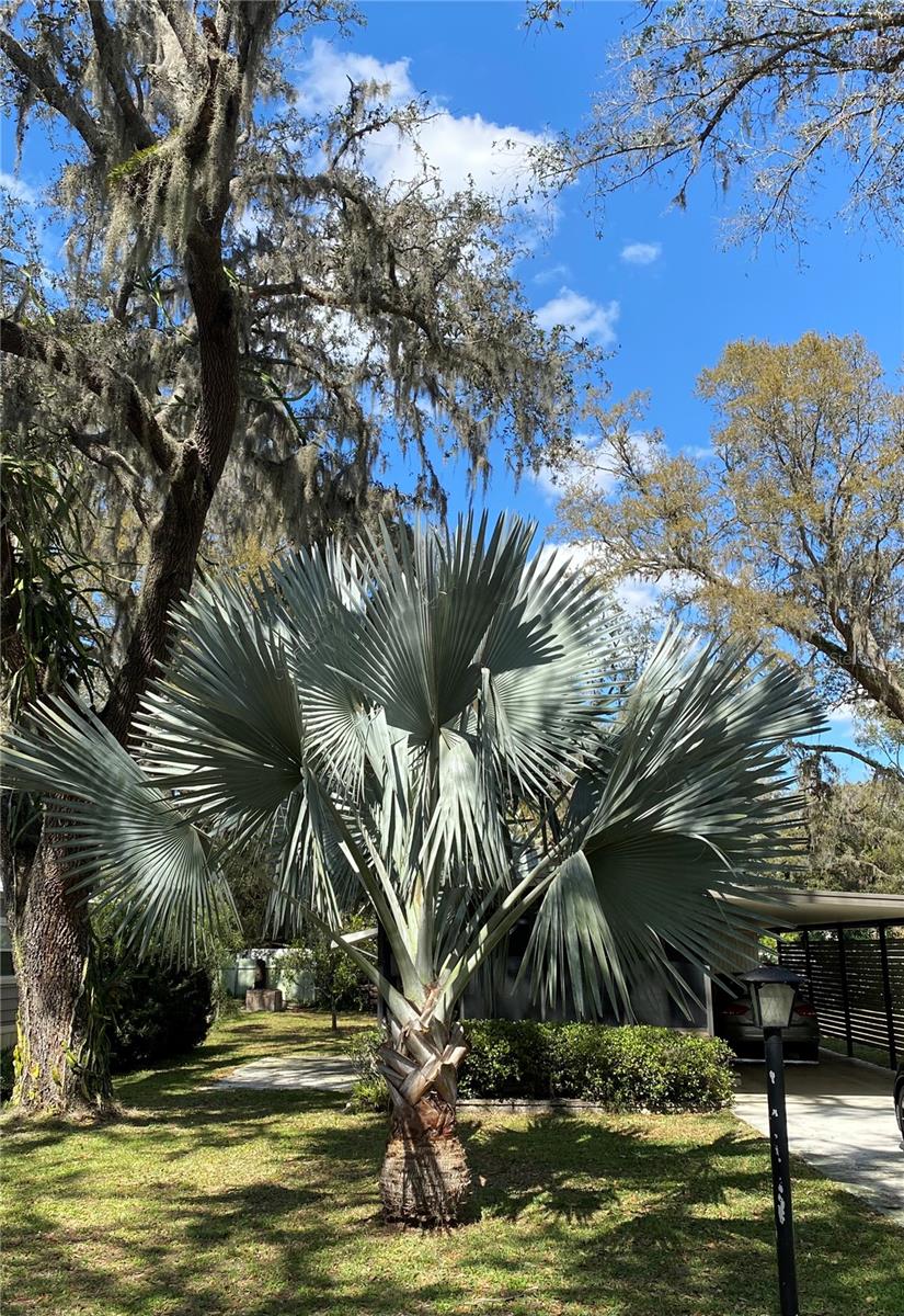 38041 AVION DR, ZEPHYRHILLS, FL, 33542