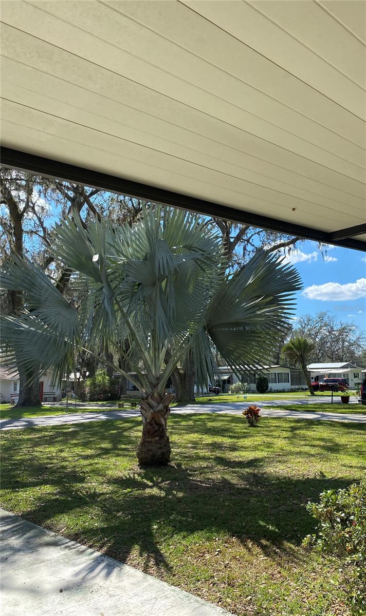 38041 AVION DR, ZEPHYRHILLS, FL, 33542
