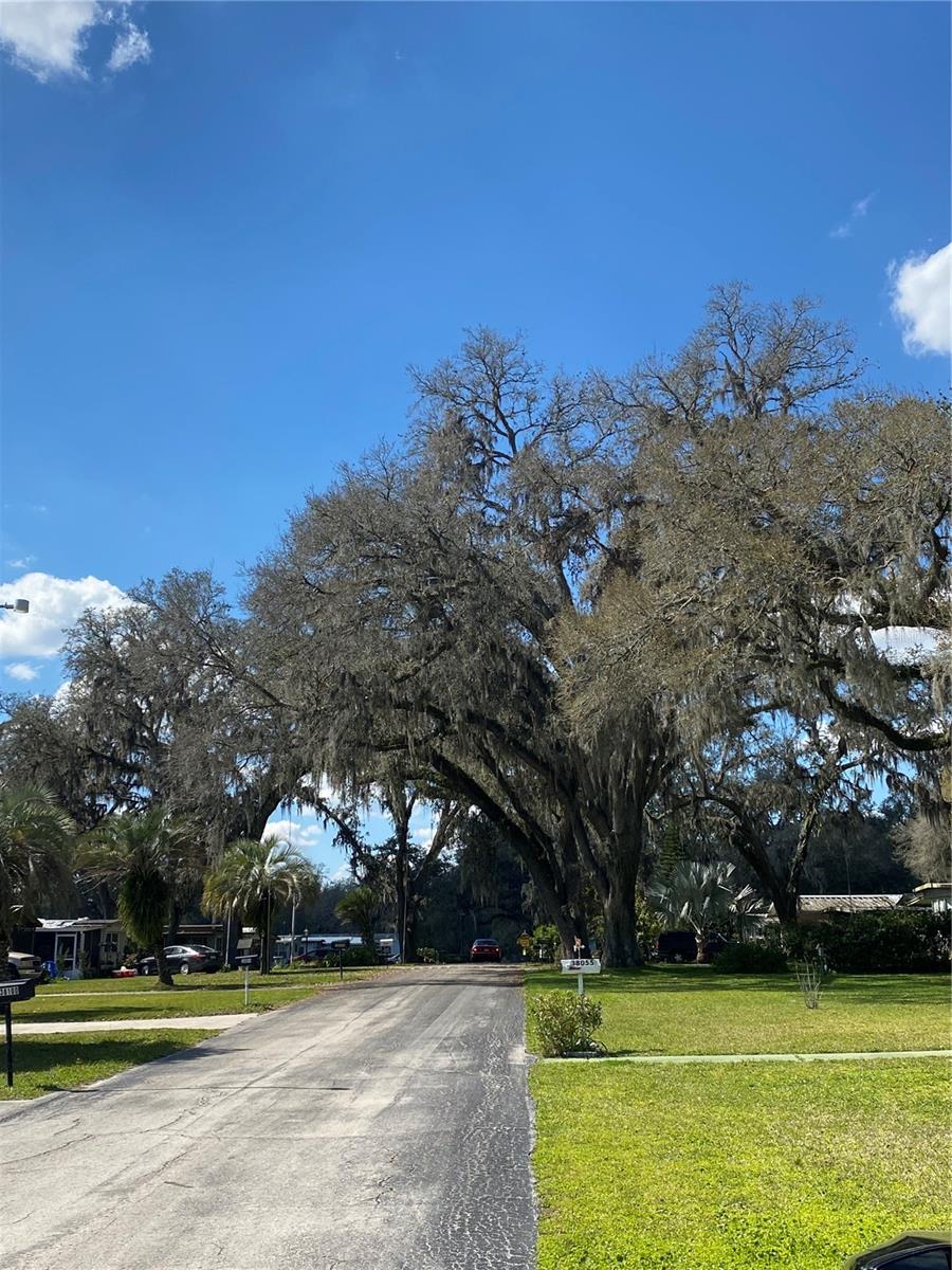 38041 AVION DR, ZEPHYRHILLS, FL, 33542