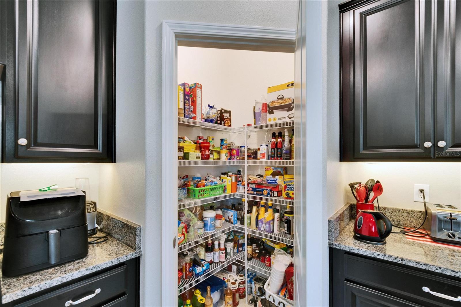 16868 SCUBA CREST ST, WIMAUMA, FL, 33598