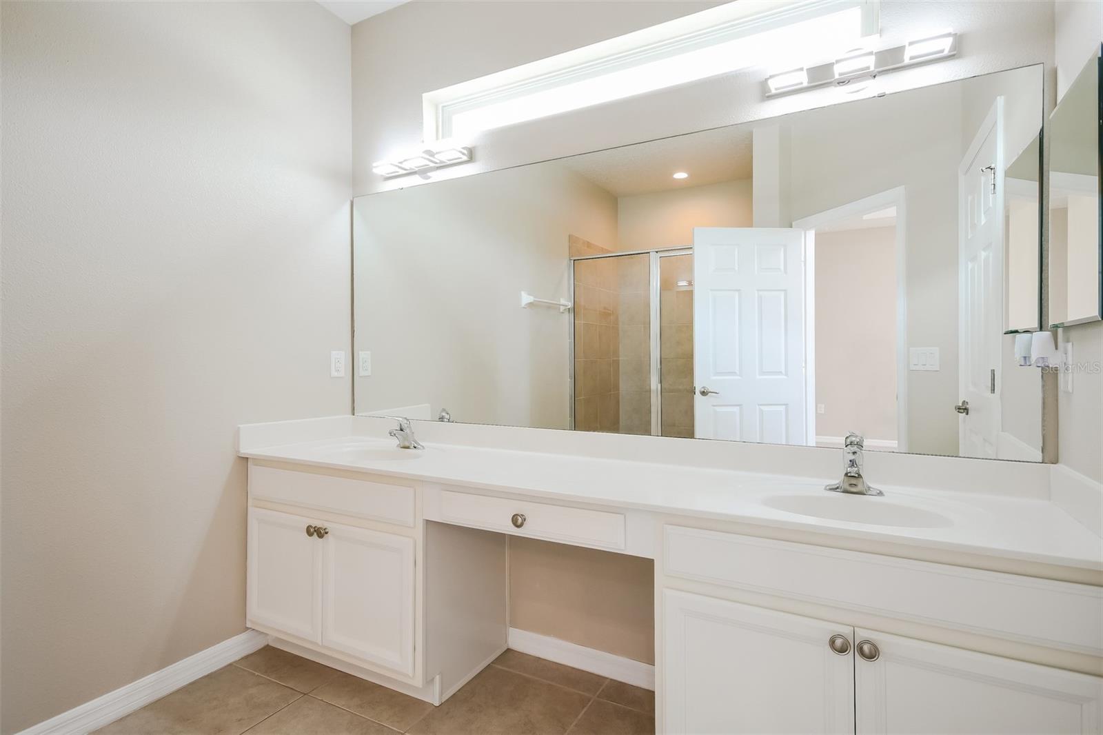 3343 BETHPAGE LOOP, MOUNT DORA, FL, 32757