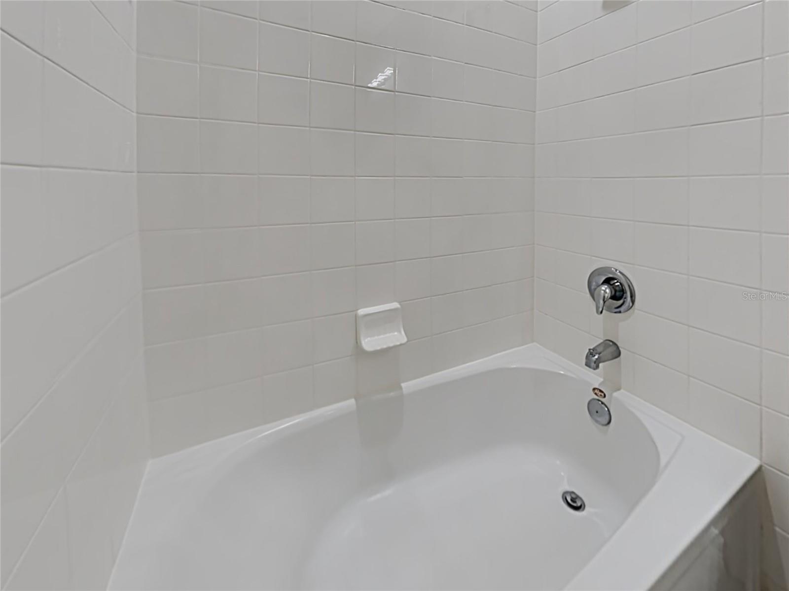 3343 BETHPAGE LOOP, MOUNT DORA, FL, 32757