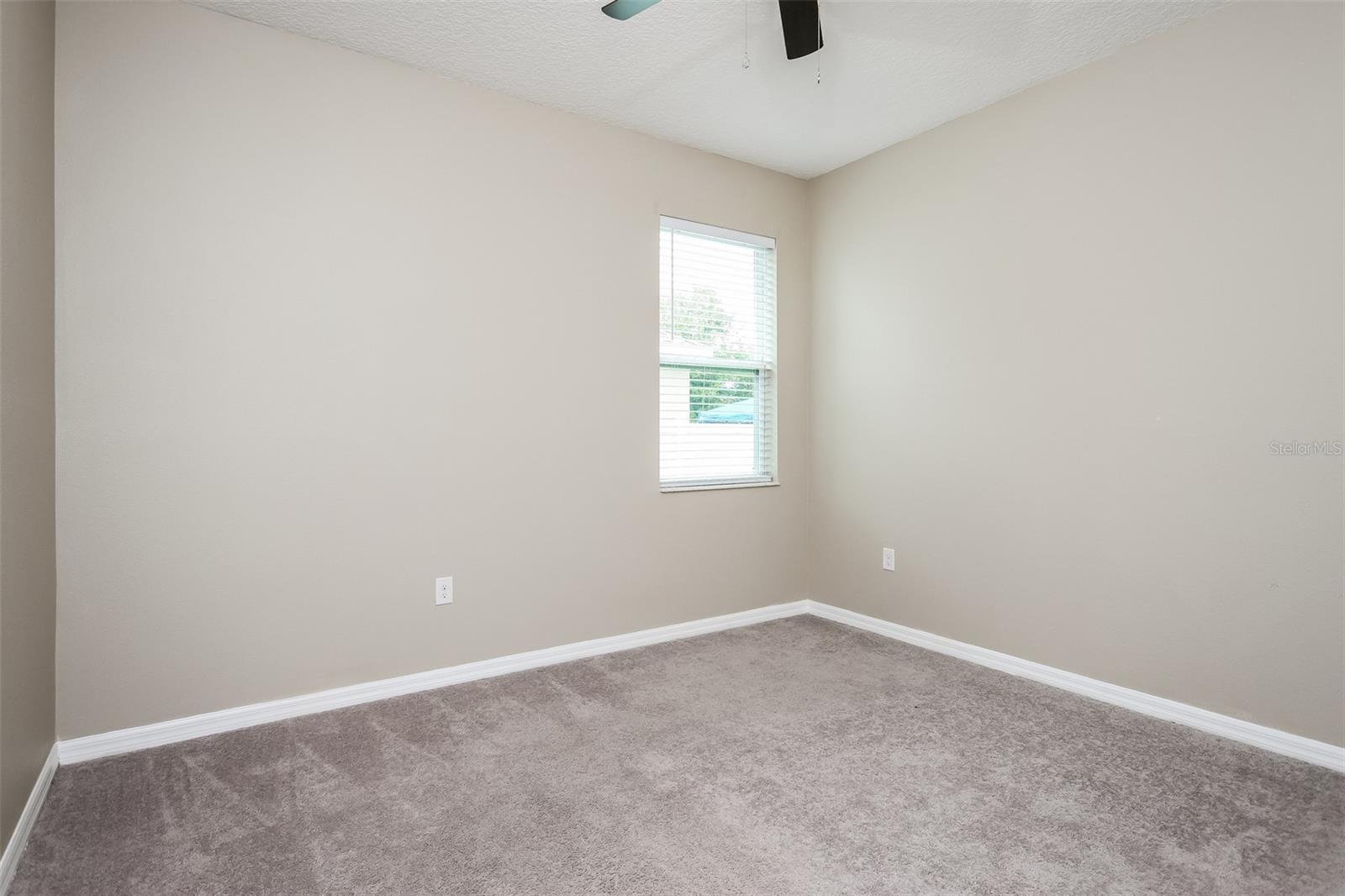 3343 BETHPAGE LOOP, MOUNT DORA, FL, 32757