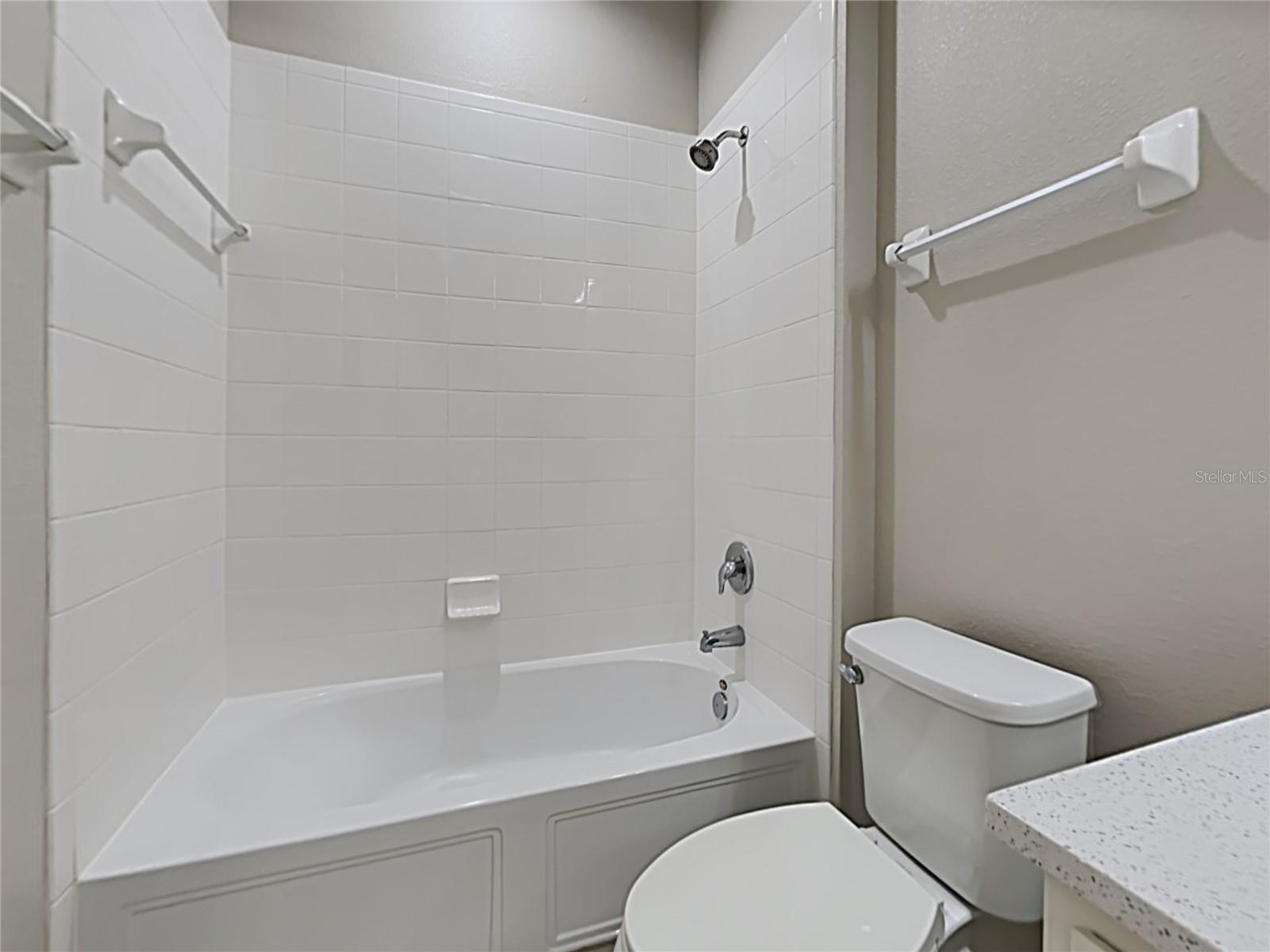 3343 BETHPAGE LOOP, MOUNT DORA, FL, 32757