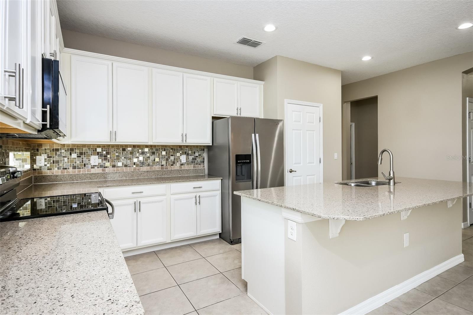 3343 BETHPAGE LOOP, MOUNT DORA, FL, 32757