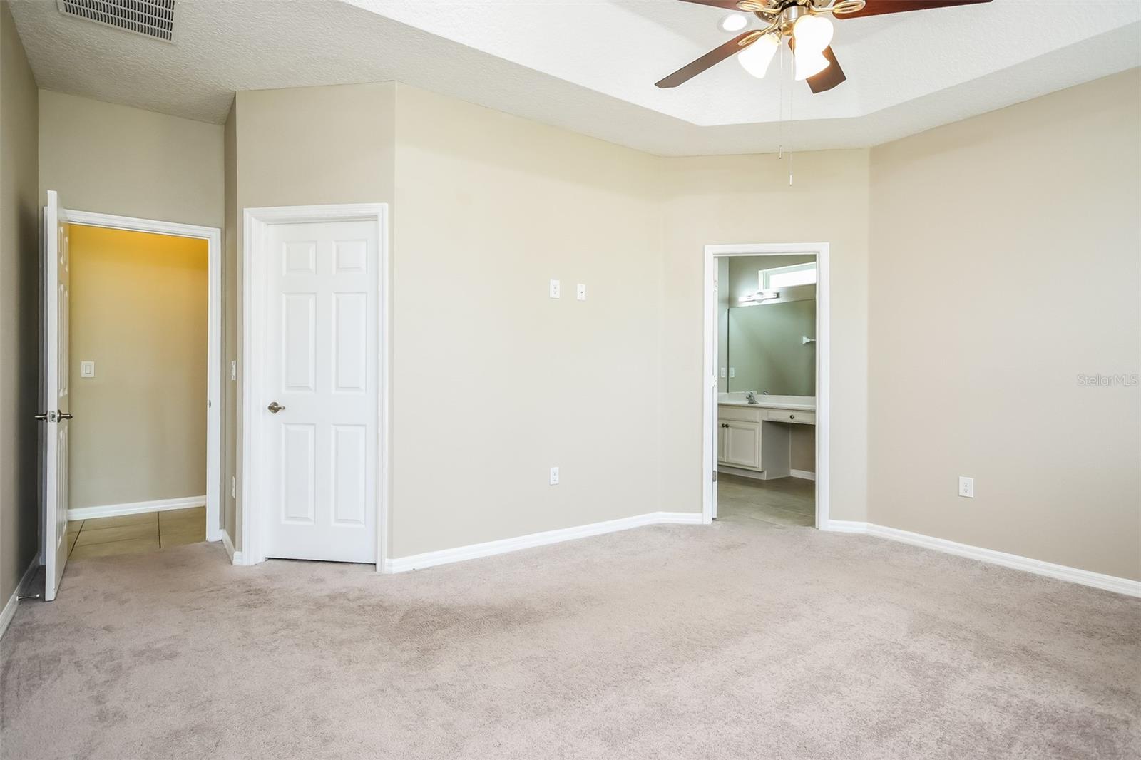 3343 BETHPAGE LOOP, MOUNT DORA, FL, 32757