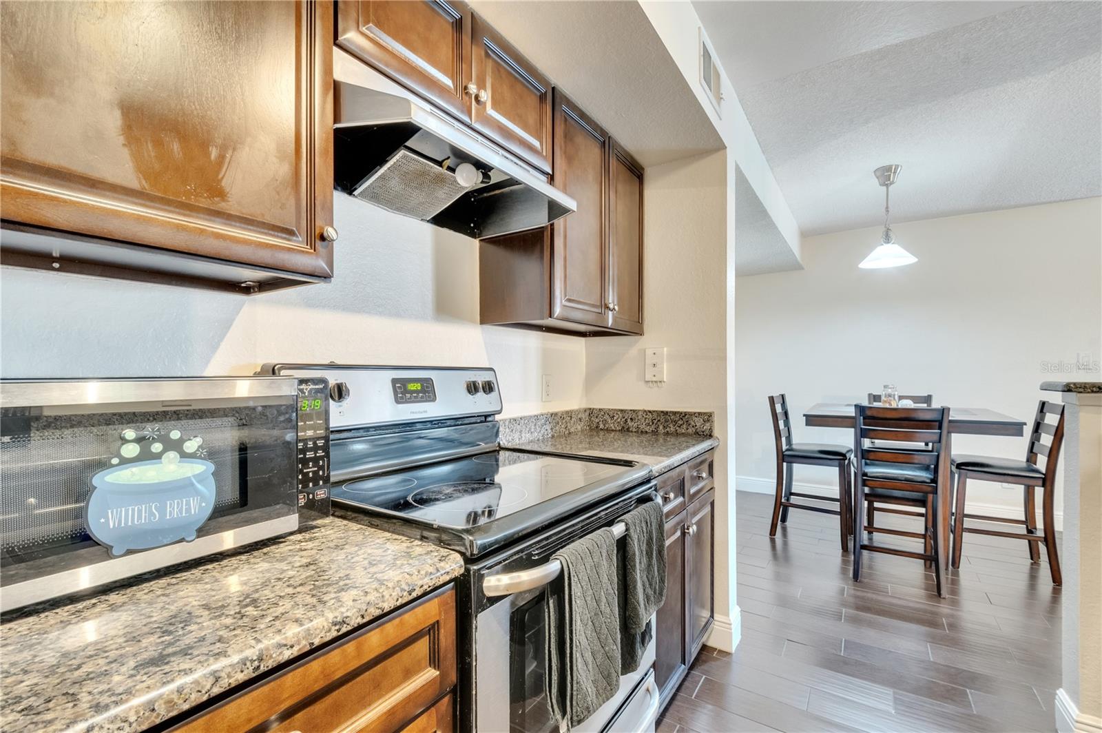 4367 THORNBRIAR LN #P204, ORLANDO, FL, 32822