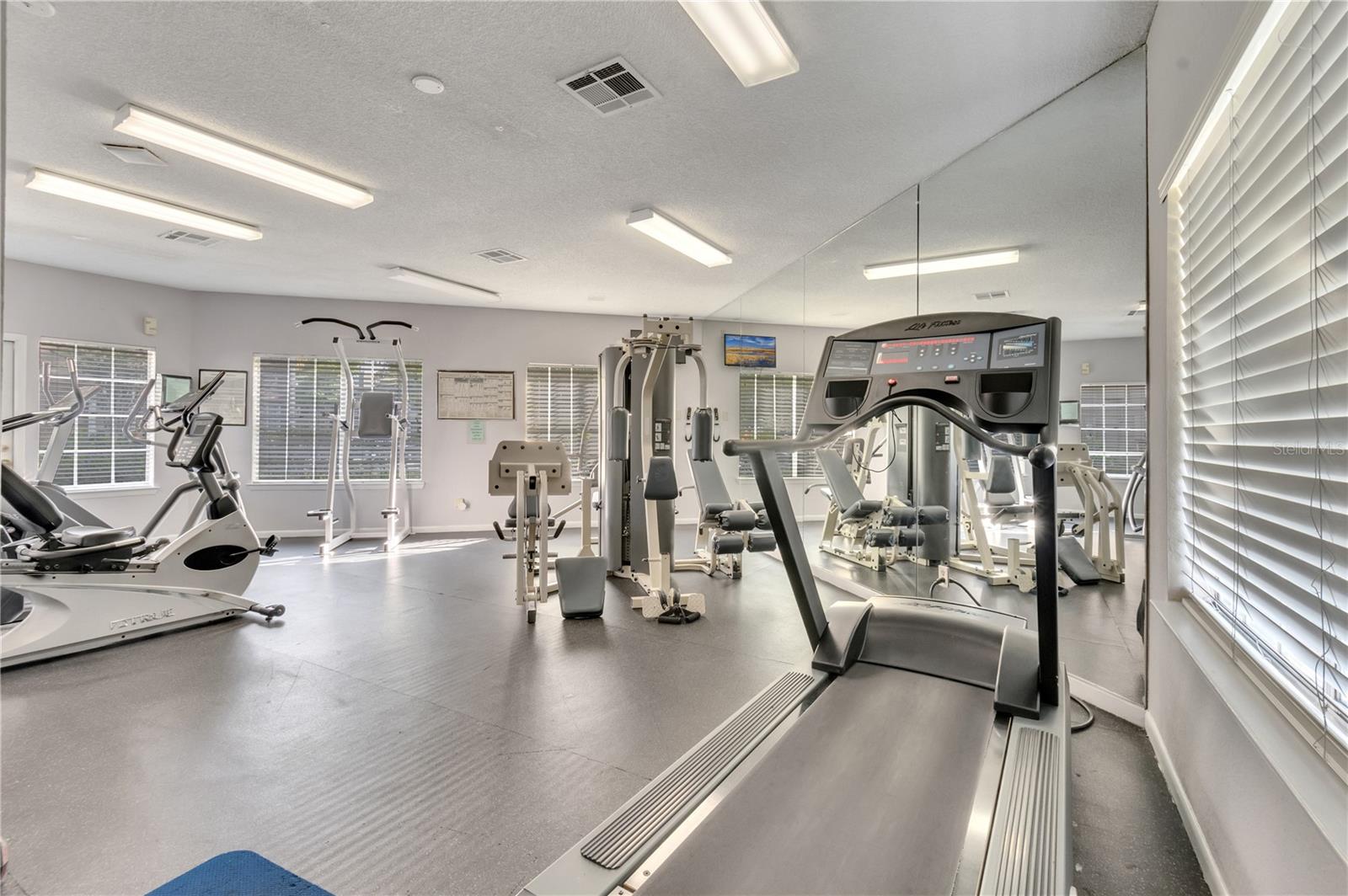 4367 THORNBRIAR LN #P204, ORLANDO, FL, 32822