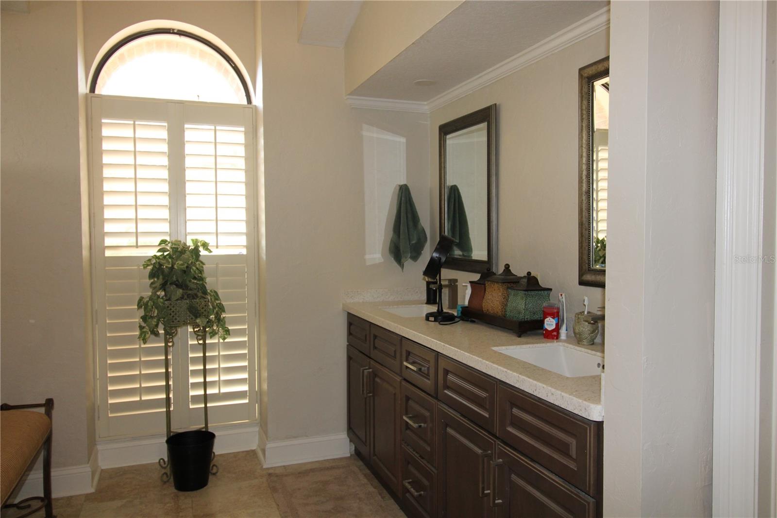 16209 BELLE MEADE BLVD, ODESSA, FL, 33556