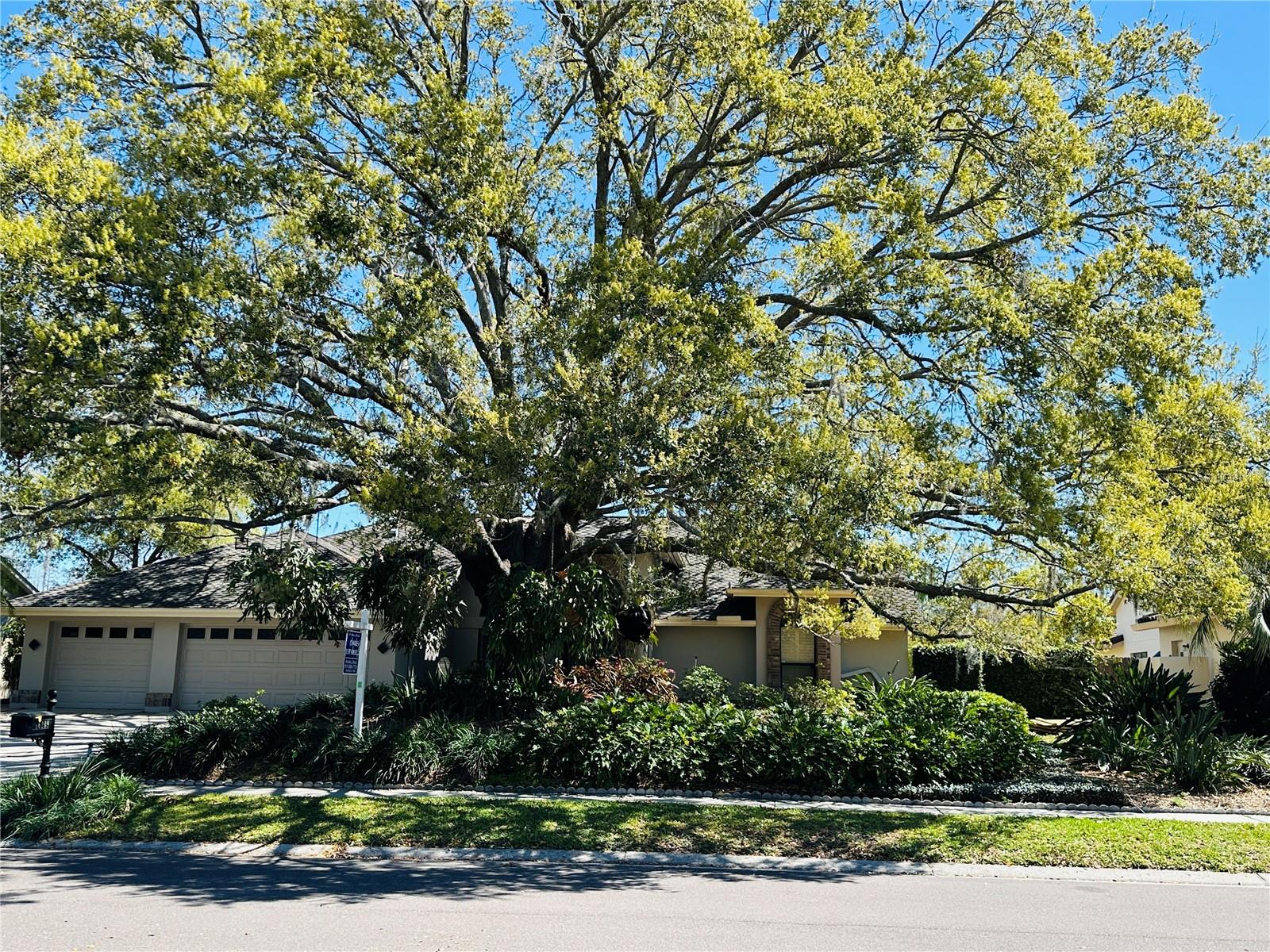 16209 BELLE MEADE BLVD, ODESSA, FL, 33556