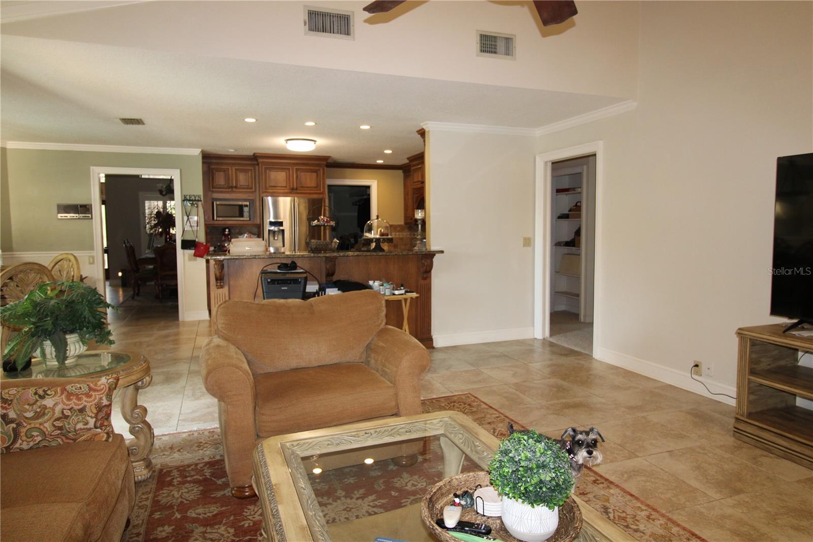 16209 BELLE MEADE BLVD, ODESSA, FL, 33556